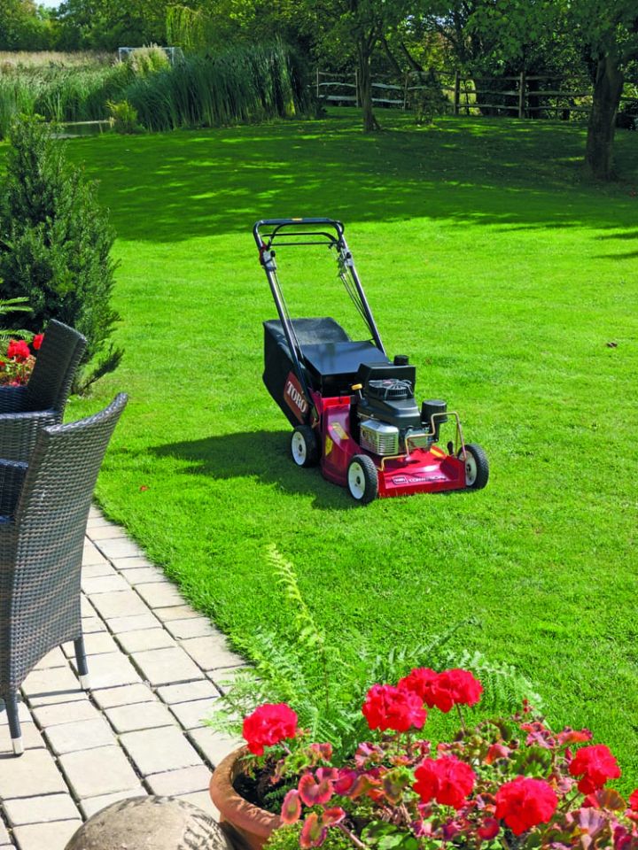 lawn mover repairs Norwich